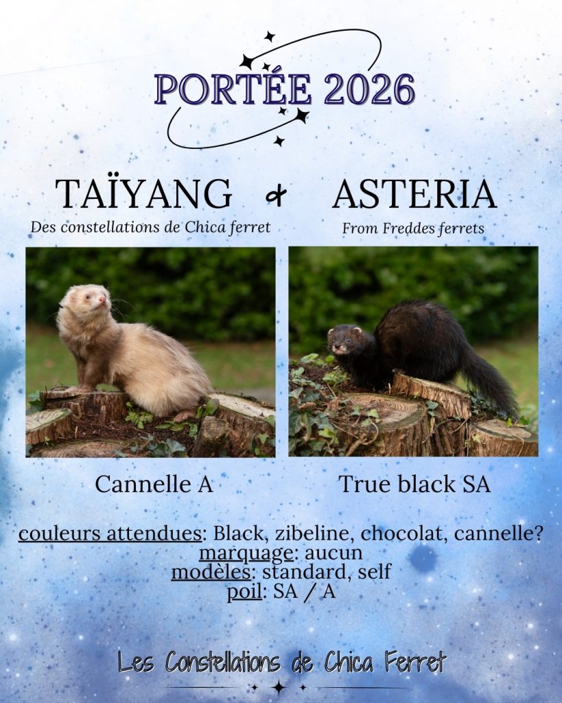 réservation furetons 2026