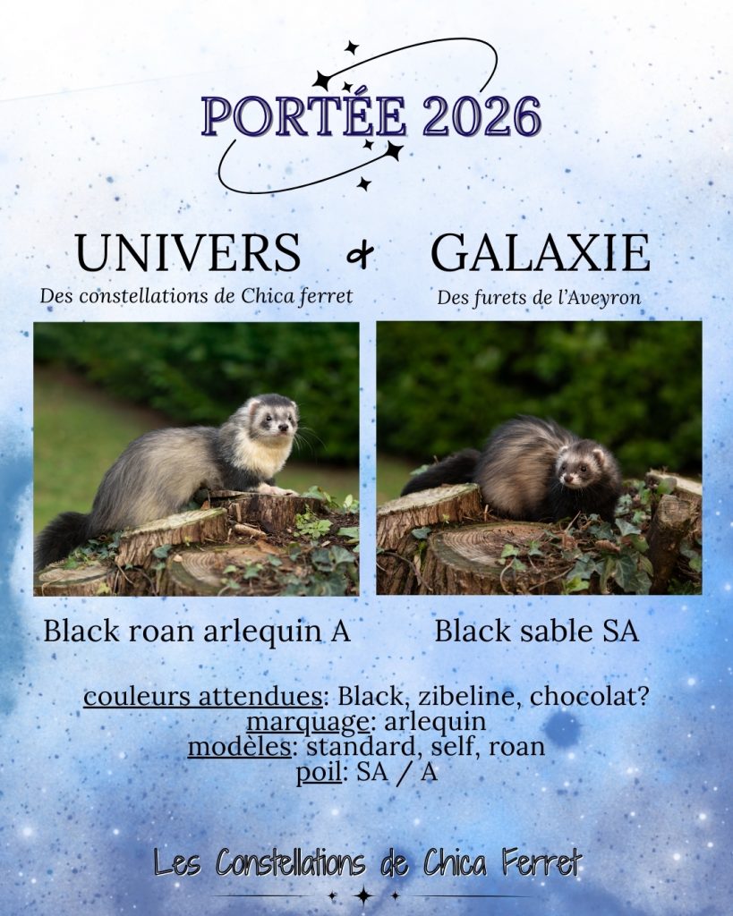 réservation furetons 2026