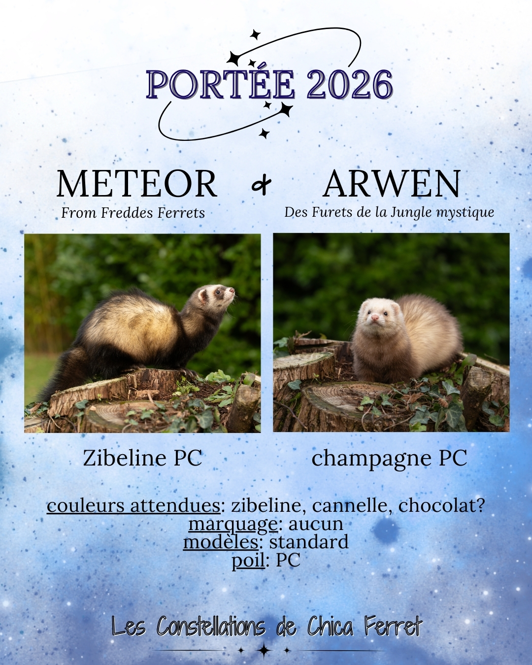 réservation furetons 2026